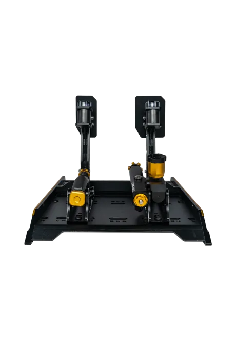 Conspit CPP EVO 3 V2 2 pedal set rear view